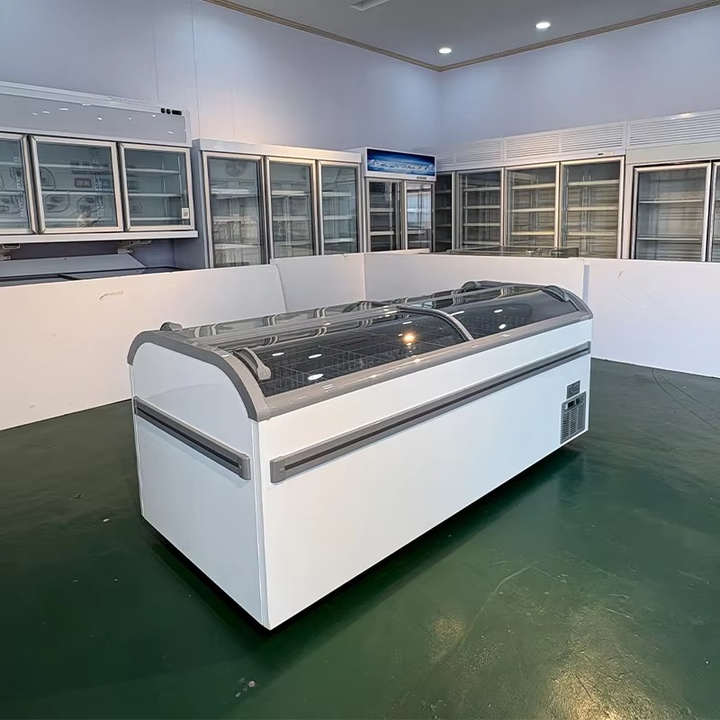 Congélateur coffre à dessus en - Commercial Chest Freezer avis et prix