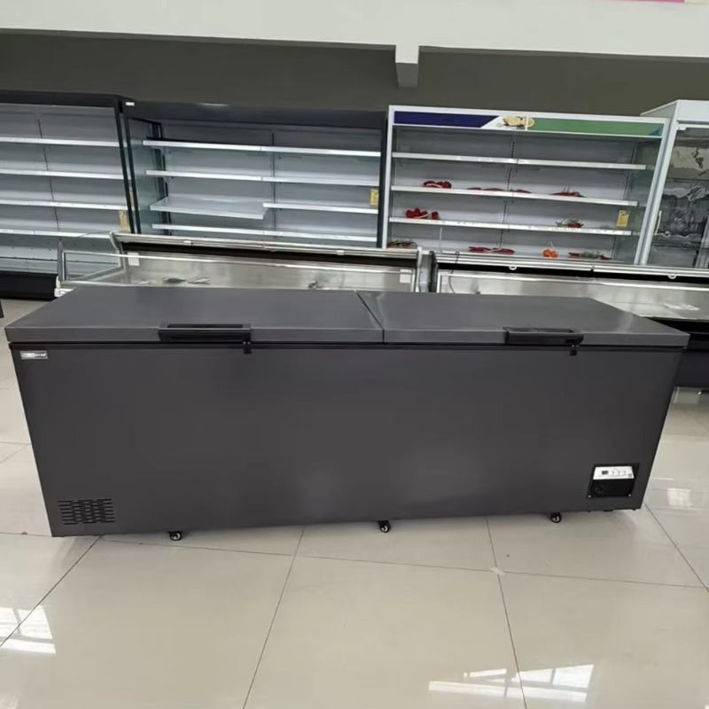 Congélateur coffre horizontal  - Commercial Chest Freezer avis et prix