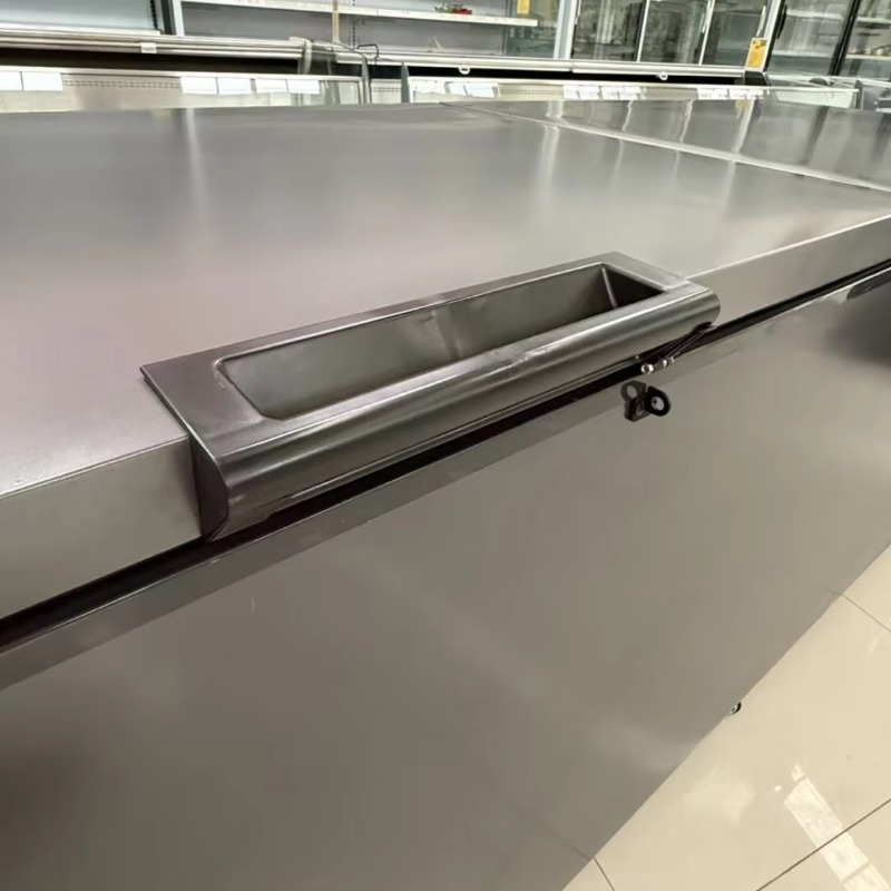 Congélateur coffre horizontal  - Commercial Chest Freezer avis et prix