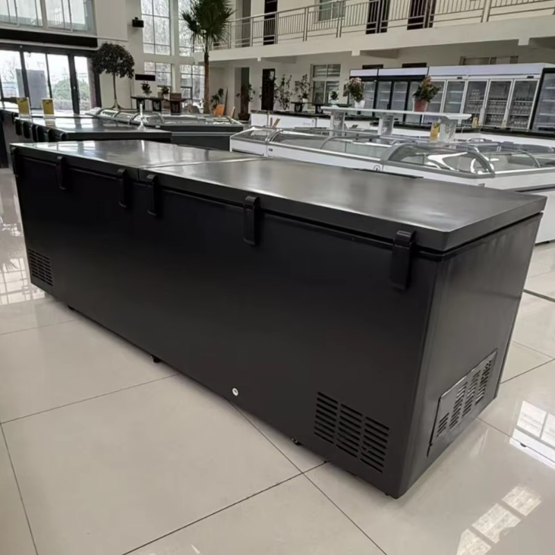 Congélateur coffre horizontal  - Commercial Chest Freezer avis et prix