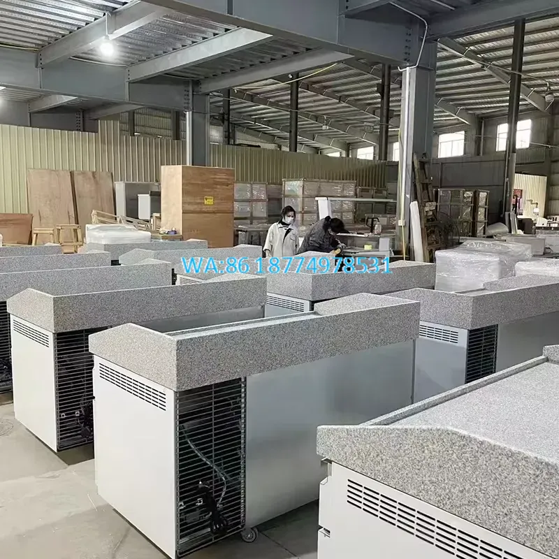 Réfrigérateur commercial à deu - Commercial Kitchen Worktops avis et prix