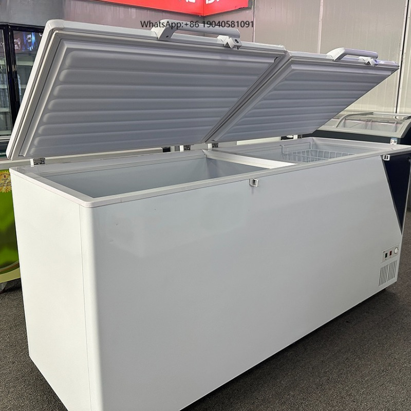 Congélateur horizontal commerc - Commercial Chest Freezer avis et prix