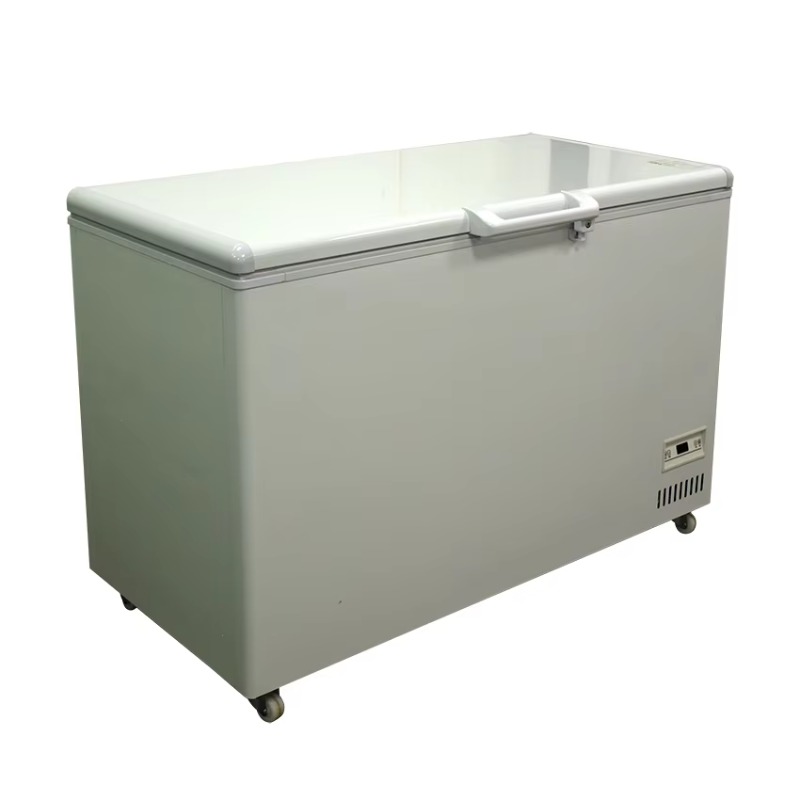 Congélateur horizontal commerc - Commercial Chest Freezer avis et prix