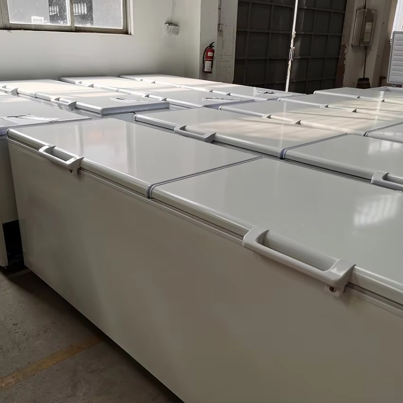 Congélateur horizontal commerc - Commercial Chest Freezer avis et prix